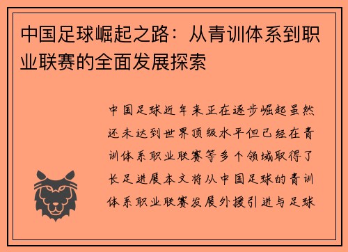 中国足球崛起之路：从青训体系到职业联赛的全面发展探索